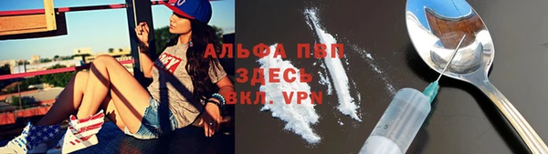 дмт Лиски