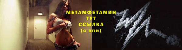 дмт Лиски